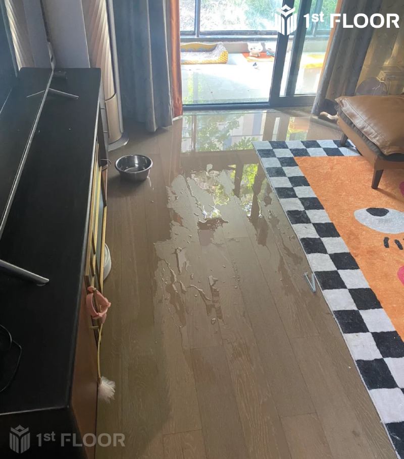 Sàn bị ngấm nước mưa