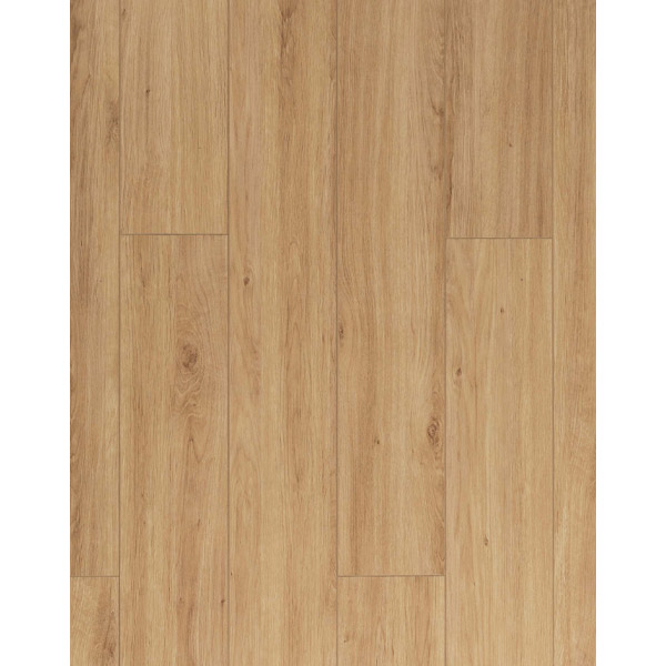 Sàn gỗ Mayer MA067